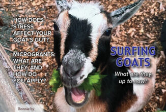 Goat Journal Digital Issue 11